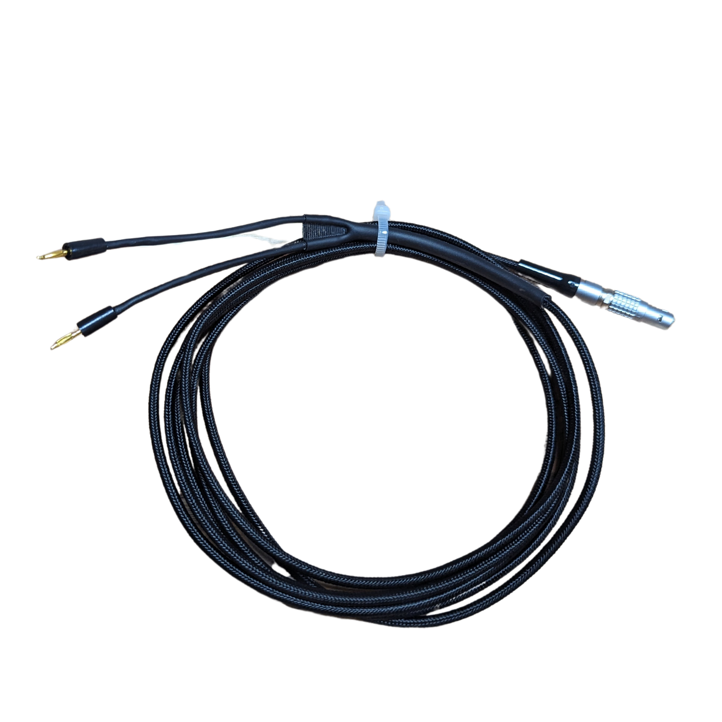 Polygraph - EDA Lead - Paragon(x) Series Compatible