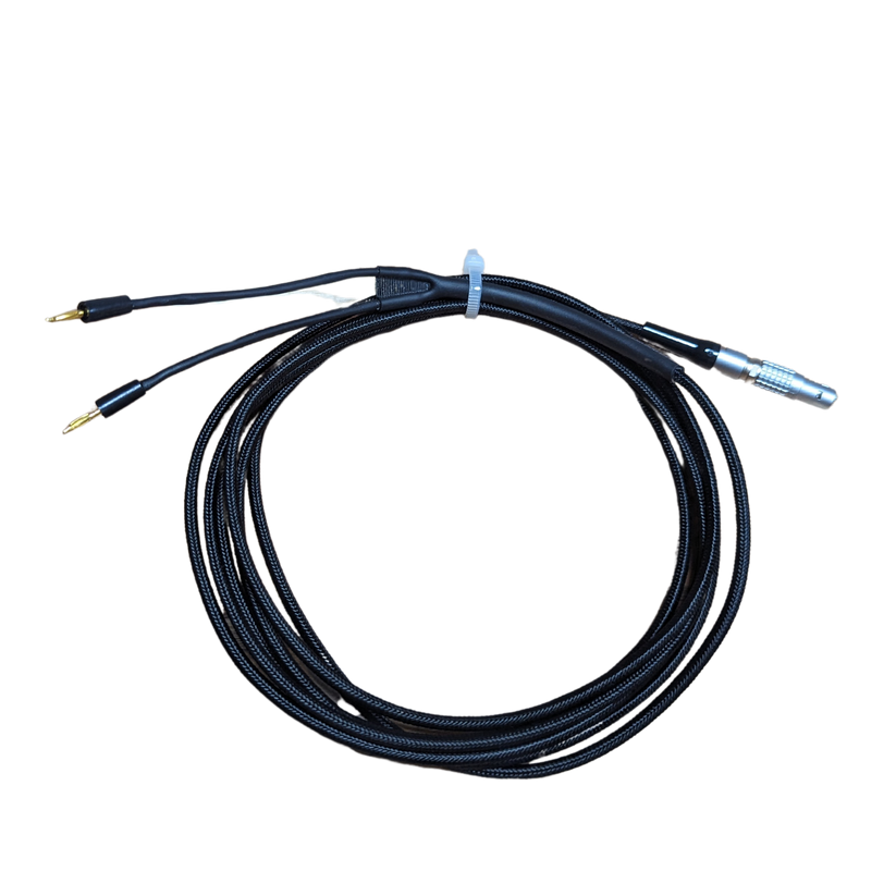 Polygraph - EDA Lead - Paragon(x) Series Compatible – Specialty ...